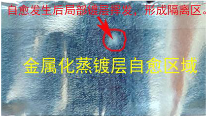 61d6a5fad52eb.jpg 00.jpg